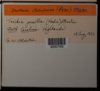 Image Associated With the Occurence